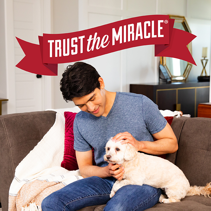 Nature's miracle on sale training pads